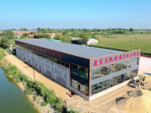 高密市大牟家鎮(zhèn)展家村黨支部領(lǐng)辦合作社 以垃圾經(jīng)營服務(wù)撬動(dòng)區(qū)域共富新路徑