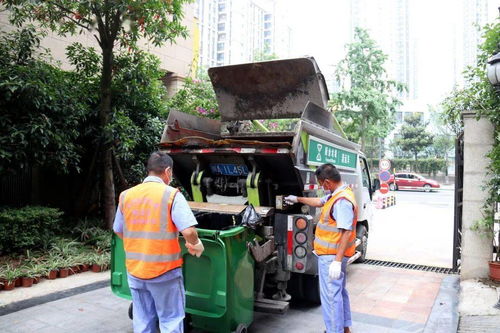 自帶“美顏”功能 生活垃圾分類讓城市顏值與經(jīng)營服務(wù)雙提升